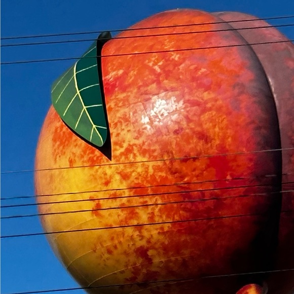 Meet your Posher, Ethan - Picture 1 of 1